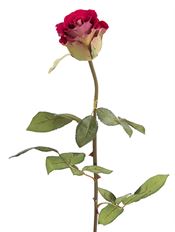 ROSE BUD VELVET RG