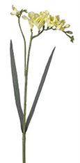 FREESIA STEM 25" GREEN