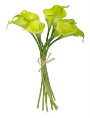 CALLA LILY BUNDLE 14" GREEN