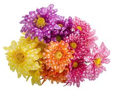 GERBERA DOTTED BUSH X6 18" 4/ASST