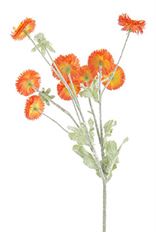 DAISY SPRAY NYMPH ORANGE