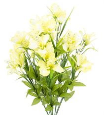 ALSTROEMERIA BUSH CREAM