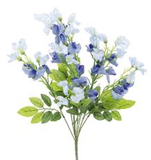 SWEET PEA 23" BUSH X9 BLUE