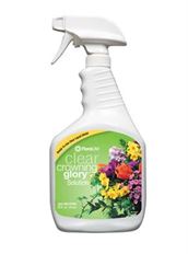 CROWNING GLORY CLEAR LITER EA