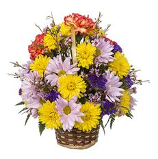 4"  BASKET ARR.