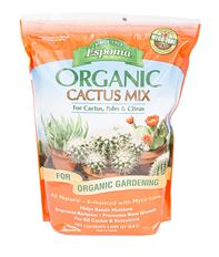 CACTUS 4 QT