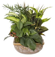 10" CERAMIC DISH GARDEN