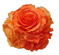 BALL ROSE 6"