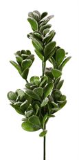 SNOWED LUSH LEAF SPRAY 27"