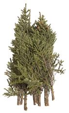 SPRUCE TOPS 10X BUNDLES