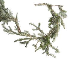 FRASER FIR GARLAND 25'