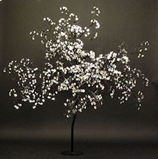 TREE, SHAKE YOUR SHIMMY 7'