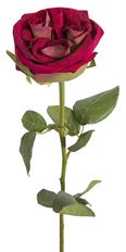 ROSE GARDEN VELVET RG