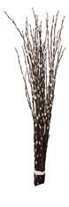 PUSSY WILLOW - SHORT 50 BU