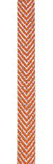 MAGGIE 2 25Y ORANGE