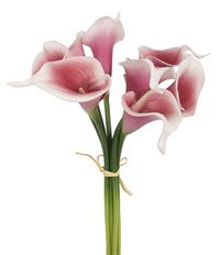 CALLA BUNDLE 15" PINK