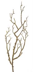 BRANCH TWIG MOSS 32"