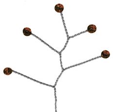 QUINTET BROWN 12/PK