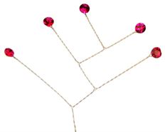 QUINTET ROSE 12/PK