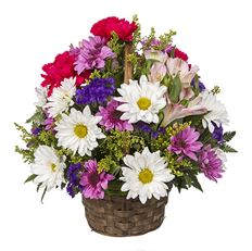 6" BASKET ARR.