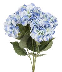 HYDRANGEA BUSH 22" BLUE X5