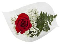 SINGLE ROSE BOUQUET