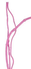 DULA LOGS PINK 3/PK