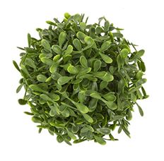 BOXWOOD BALL 4.5"