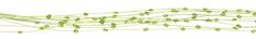 MIDOLLINO BEADED 44" BUN GREEN