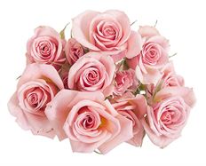 SPRAY ROSE MARKET BUNCH