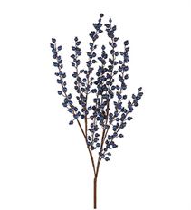 BERRY SPIKE 33" BLUE WR