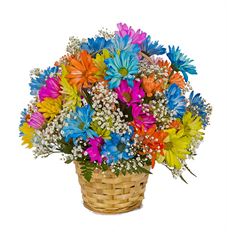 4" TINTED POM BASKET ARR.