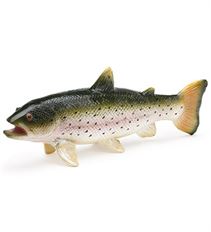 RAINBOW TROUT 10.5"
