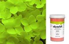 DYE STEM ABSORBIT LIME 4 OZ JAR