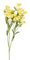 PHLOX SPRAY X3 30.5" YELLOW