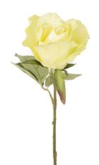 ROSE GREEN TTONE 22" STEM