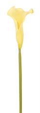 CALLA LILY 25" STEM YELLOW